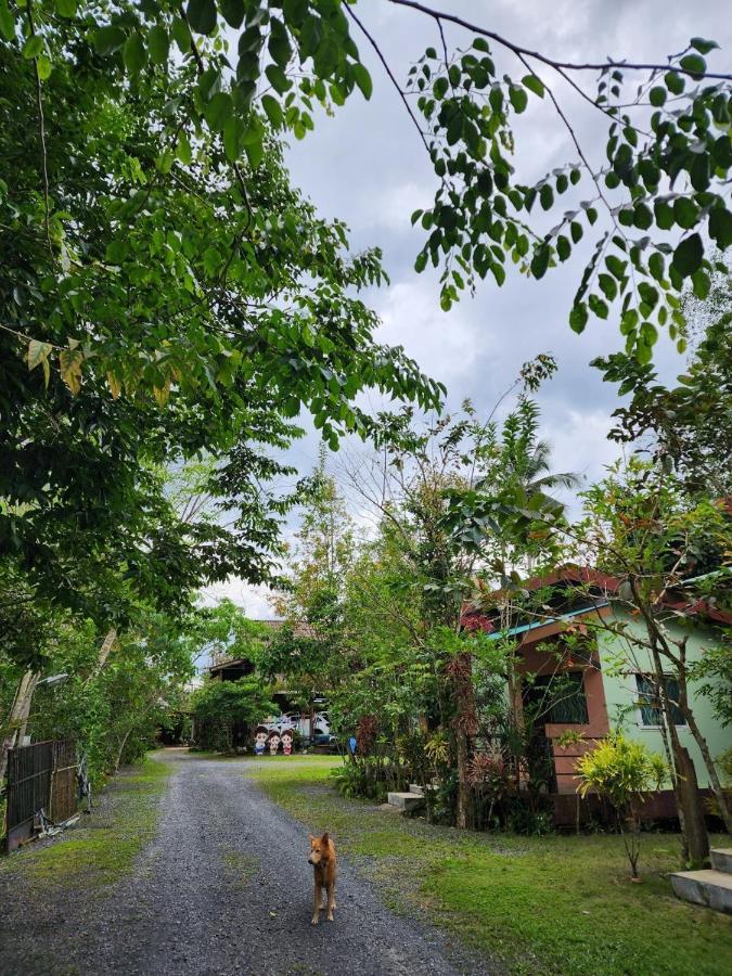 Suankafae Resort สวนกาแฟรีสอร์ท สุราษฎร์ธานี ภายนอก รูปภาพ