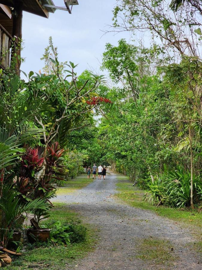 Suankafae Resort สวนกาแฟรีสอร์ท สุราษฎร์ธานี ภายนอก รูปภาพ