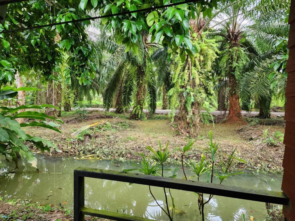 Suankafae Resort สวนกาแฟรีสอร์ท สุราษฎร์ธานี ภายนอก รูปภาพ